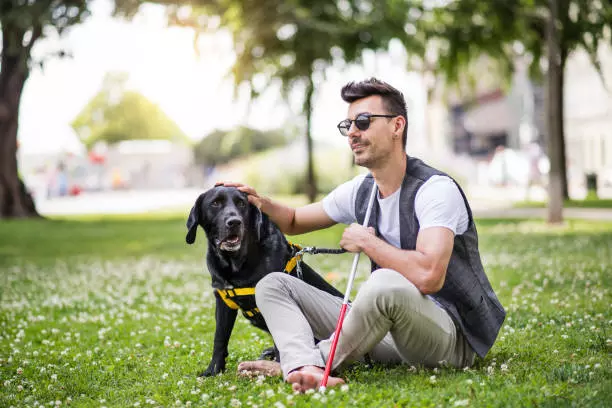 blind man with a cane on grass with service dog